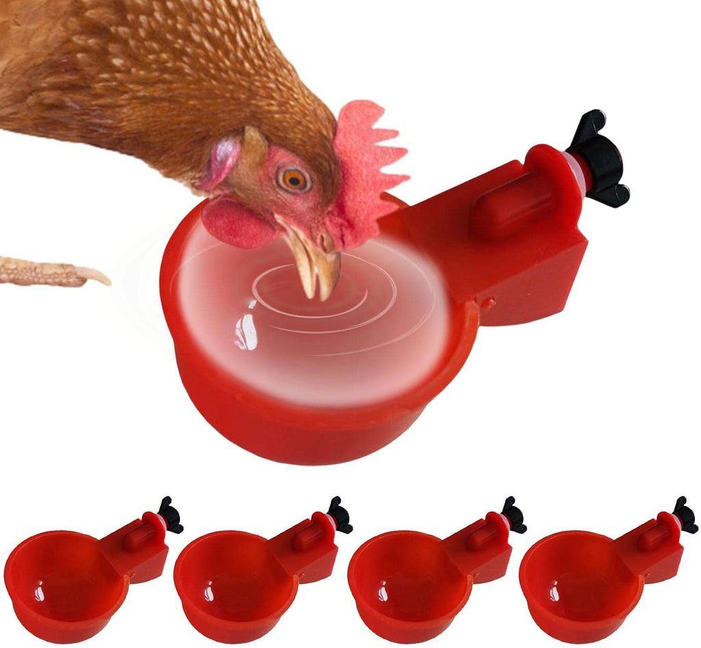 🐔 Abreuvoir Automatique pour Poules – Eau Propre en Continu 💧
